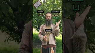 الفرق بين اللغه الاشورية والعربيه والانجليزية دندنها