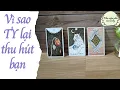 Download Lagu Vì sao tình yêu lại thu hút bạn {Hiểu về tình yêu} |Trải bài tarot| Khu vườn Andy