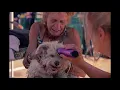 SVO serving pets at Recovery Cafe