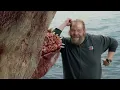 The Meg | A Second Megalodon | ClipZone: High Octane Hits