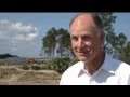 Downtown construction starts for solar-powered Charlotte Co town