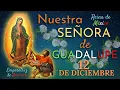 Lagu NUESTRA SEÑORA DE GUADALUPE   Reina de México y Emperatriz de América   12 DE DICIEMBRE   SHAJAJ