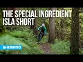 Download Lagu HET GEHEIME WAPEN VAN ISLA SHORT | SHIMANO