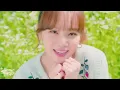 [Special Clip] Kim Chae Won | IU - 내 손을 잡아 COVER