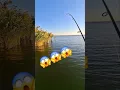 Download Lagu УЛОВИСТОЕ МЕСТО, БЕШЕНЫЙ ОКУНЬ НА СИЛИКОН 😱 #рыбалка