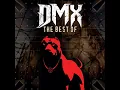 Ruff Ryders' Anthem (Re-Recorded)