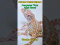 Download Lagu SUARA TOKEK, SUARA TOKEK PENGANTAR TIDUR, SUARA TOKEK ASLI, GECKO SOUND #shorts #viral #yearofyou