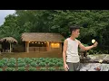 Download Lagu CEO Trieu Phong Leaves City to the Countryside, Install Generators and Builds Self-Sufficient lives.