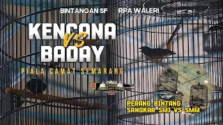 Download PERANG BINTANG MURAI BATU SANGKAR SMI VS SANGKAR SMM | MURAI BATU KENCANA BINTANGAN SF MP3