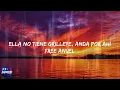 Sech - Miss Lonely - Dimelo Flow Remix (Lyrics)