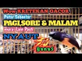 Download Lagu Suara Kretekan murai buat semua murai  dengar terpancing EMOSI DAN NIAK BIRAHI JANTANNYA! Sang JUARA