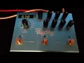 Download Lagu Strymon Big Sky (Acoustic)