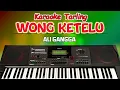 Download Lagu WONG KETELU KARAOKE||ALI GANGGA NO VOCAL