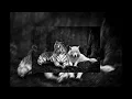 Download Lagu Hard Motivational Choir Rap Beat Instrumental