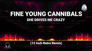 Download Retro Remix - Fine Young Cannibals' - 'She Drives Me Crazy' (12 Inch) MP3