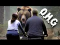 The SCARIEST day of our lives with BEAR encounter Stokes state Forest camping in NJ