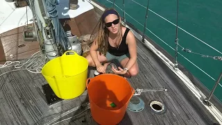 Laundry on a Boat: How Do We Do It?