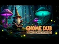 Gnome Dub 90 Minutes of Psychedelic Dub Reggae