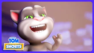 ¡Luces locas de Navidad! 🎄 - Talking Tom Shorts | Dibujos Infantiles | WildBrain Niños