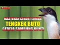 Download Lagu MASTERAN CENDET LOMBA SPESIAL TENGKEK BUTO COCOK UNTUK CENDET BAHAN CALON JUARA DUNIA