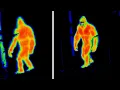 Mireya Mayor Says She s Found the Undeniable Proof Bigfoot Is Real