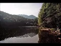 Schubert Piano Quintet in A major (Trout), D 667 - II -  Andante