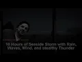 ► Seaside Storm ~Rain Sounds for Sleeping (lluvia) Rain, Waves, Wind, Thunder with a Darker Screen