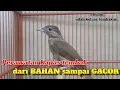 Download Lagu Perawatan burung kapas tembak bahan agar cepat gacor