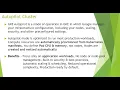 Creating Autopilot Cluster in GKE in Google Cloud GCP