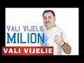 Download Lagu VALI VIJELIE si ASU - Milion (Nou 2012)