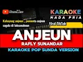 Download Lagu ANJEUN ~ RAFLY SUNANDAR || KARAOKE POP SUNDA VERSION - NADA PRIA