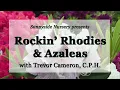 Rhockin' Rhodies & Azaleas with Sunnyside Nursery