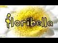 Lagu (Videoclipe) Floribella Brasil - 123 Bam bam