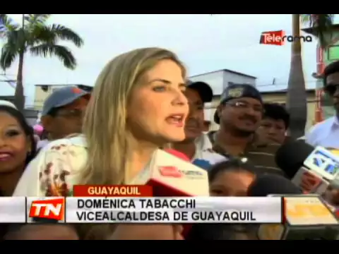 Se encendió el árbol de navidad en la 29 y Portete