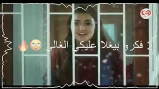 بيك غلا المهر كتير حالات واتس اب الحب لايفهم الكلام مراد حياة 