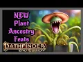 New Ancestry Feats for Plant People From the AP Wardens of Wildwood Pathfinder 2e