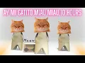 Lagu Ay Mi Gatito Miau Miau 10 Hours