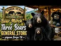 Shopping Bear Merch in Pigeon Forge Three Bears General Store Smoky Mountain Souvenirs