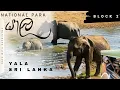 Download Lagu Yala Safari | Sri Lanka | Days With Sachintha | Katagamuwa Entrance | Block 02 | Vlog #01