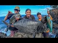 Download Lagu Catching Monster Uluas and Wild Boars Hawaiian Style