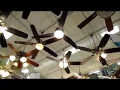 Fans and air conditioners at lowes