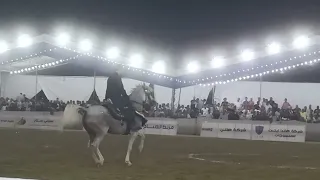 اصاله الحديدي وأحمد هشام مهرجان الشرقيه 2023 