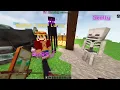 How to use MyPet Plugin