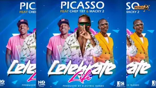 picasso ft chef 187 u0026 macky 2 celebrate life