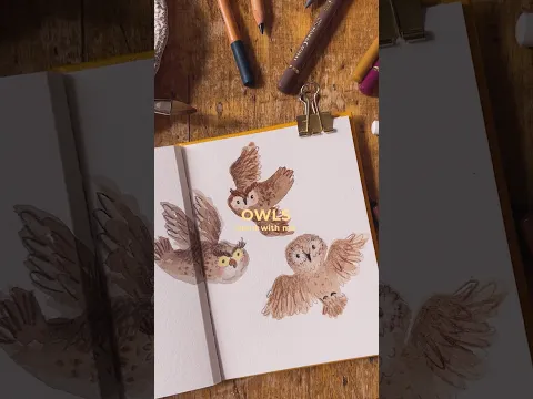 Let's Paint These Cute Owls!