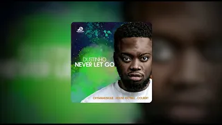 dustinho chymamusique house victimz never let go feat colbert hr001b