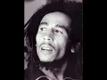 Bob Marley & The Wailers - Revolution (Live)