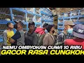 Lagu MASIH ANGET ! NEMU BURUNG GACOR CUMA 10 RIBU VOKAL NYERECET MIRIP CUCAK CUNGKOK DIKIOS PB PRAMUKA