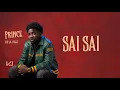 Lagu VJ - Sai Sai