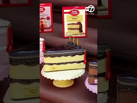 Walmart chicken bags, Betty Crocker cakes enter food-themed handbag craze
